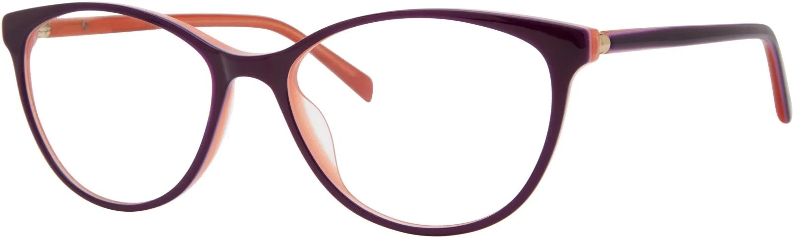 Adensco 234 Eyeglasses - view 4